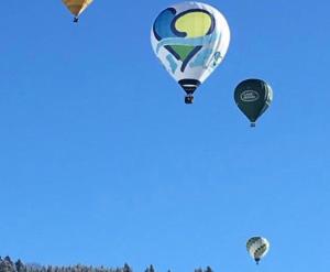 Foto dalla galleria di L'Atelier D' en Bas a La Tine