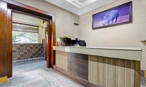 a hotel lobby with a bear on the wall at Treebo Apollo in Guwahati