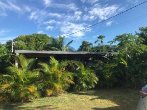 a house with palm trees in front of it at un bungalow au paradis in Saint-Pierre