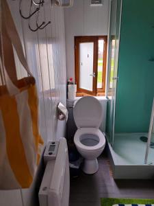 a small bathroom with a toilet and a shower at Tiny Beachhouse Belgium, Wenduine in Wenduine