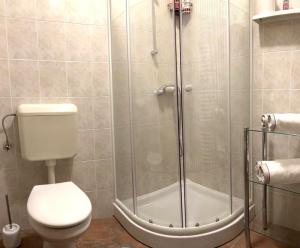 a bathroom with a toilet and a shower at Casa Monte Calvo in Izola