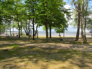 ein Park mit Bäumen und dem Wasser im Hintergrund in der Unterkunft Chalet Nepumuk-1 by Interhome in Arendsee