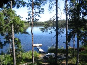 a dock in the middle of a lake with trees at Holiday Home Ullanlinna by Interhome in Käylä