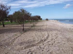 una spiaggia rocciosa con alberi e l'oceano di Holiday Home Fiumara by Interhome a Margherita di Savoia