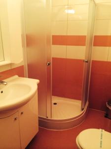 W łazience znajduje się prysznic, toaleta i umywalka. w obiekcie Hotel Fiama w mieście Oţelu Roşu