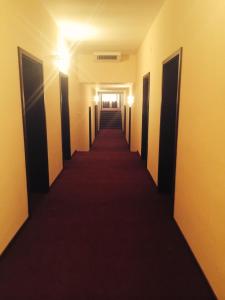 Foto dalla galleria di Hotel Fiama a Oţelu Roşu