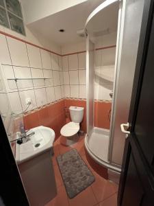 ein Bad mit einem WC, einem Waschbecken und einer Dusche in der Unterkunft Pension Martinské údolí - dependance in Kořenov