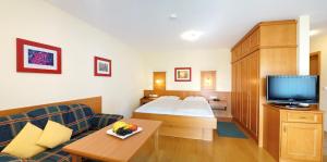 Cette chambre comprend un lit et une télévision. dans l'établissement Haus Birgit, à Bad Füssing