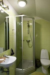 Koupelna v ubytování Spa Hotel Ezeri