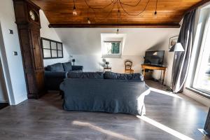 een woonkamer met een bank en een tv bij Les 3 chapeaux Dinant 6p Les canotiers 4p avec terrasse Le melon 2p SANS terrasse in Dinant