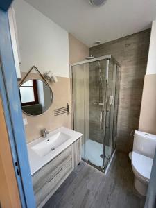 uma casa de banho com um lavatório, um chuveiro e um WC. em Ocean ROOM em Romans-sur-Isère