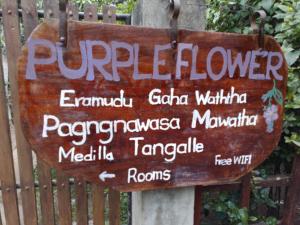 Fotografie z fotogalerie ubytování PURPLE FLOWER v Tangalle