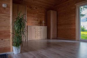 una habitación vacía con una maceta en una habitación con ventana en Domek Pod Świerkami en Sorkwity