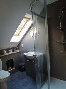 a bathroom with a shower and a sink and a skylight at Corrie View in Invergarry