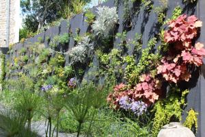 a garden with flowers on a fence at Une Parenthèse in Sainte-Marie-de-Ré