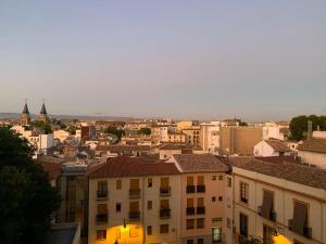 a view of a city with buildings at Hotel Carlos V in Granada