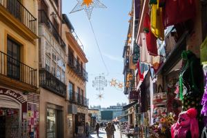 Fotografia z galérie ubytovania O'Donnell Place, ático en el centro de Sevilla v destinácii Seville