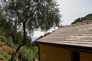 Gallery image of L'Eremo-Rifugio escursionistico10 min steep walk! in Portofino