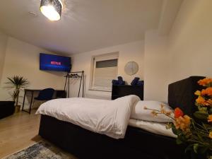 - une chambre avec un lit et une télévision murale dans l'établissement Theox Apartment No 6 Royal Blue für 4 Personen, à Mannheim