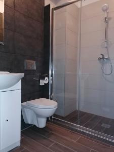 a bathroom with a shower and a toilet and a sink at POKOJE GOŚCINNE AZALIOWA 34 Mielno in Mielno