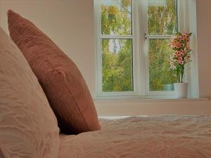 a bedroom with a bed and a window with a plant at Tor Cottage, perfectly positioned! in Glastonbury