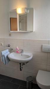 y baño con lavabo, aseo y espejo. en Residenzpark Willingen Haus Langenberg en Willingen