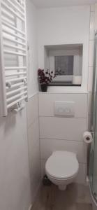 a white bathroom with a toilet and a plant at Monteurswohnungen in Biedenkopf in Biedenkopf