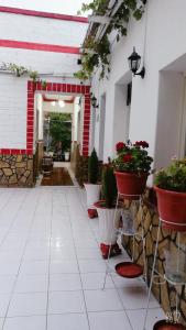 a hallway with potted plants on the side of a building at Tierra Nuestra in Tarija