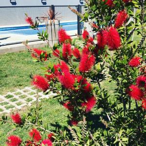 Фотография из галереи Un lugar en Monte в городе Сан-Мигель-дель-Монте