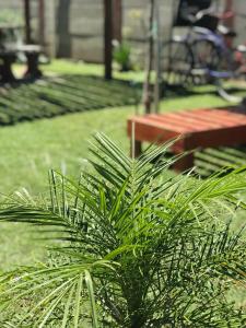 Фотография из галереи Un lugar en Monte в городе Сан-Мигель-дель-Монте