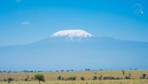 a mountain in the middle of a field at Amanya Double Pitch Tent with Mt Kilimanjaro View in Amboseli