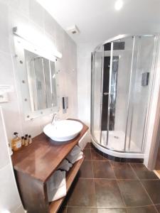 La salle de bains est pourvue d'un lavabo et d'une douche. dans l'établissement Logis Hôtel Restaurant L'Auberge du Chateau, à Muret-le-Château