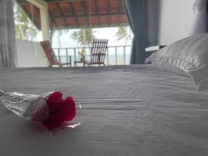 una flor en una bolsa de plástico en una cama en ISAMAR FRONT BEACH, en Marawila