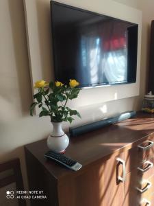 un jarrón con flores amarillas sentado encima de una TV en Apartament u Katarzyny, en Grodzisk Mazowiecki