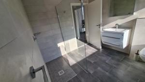 a bathroom with a shower and a sink and a mirror at Plenus Apartment Airport Arsterdamm in Bremen