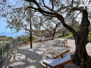 two chairs and a hammock under a tree at La Terrazza in Gioiosa Marea