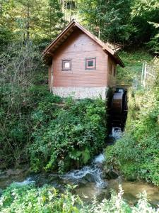 una cabaña en medio de un arroyo con un arroyo en Apartma, en Selnica ob Dravi