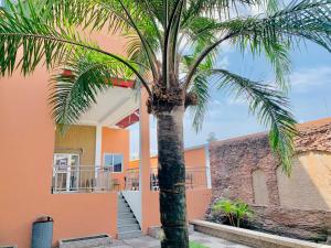 a palm tree in front of a building at Capital Hôtel in Brazzaville