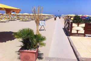 una playa de arena con sillas, palmeras y sombrillas en Hotel Staccoli, en Rímini