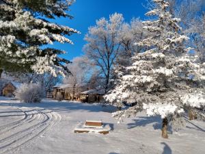 a snow covered yard with a tree and a bench at Big Hollow Guest House in Spring Green