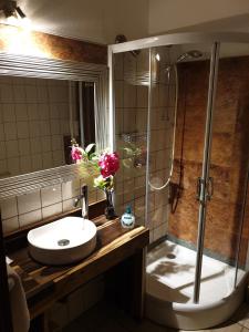 ein Bad mit einem Waschbecken und einer Dusche in der Unterkunft Landhaus Zum alten Fritz in Seesen