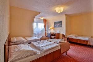 Voodi või voodid majutusasutuse Hotel Tábor toas