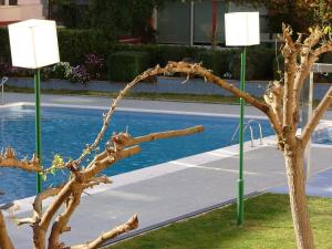 een dode boom naast twee lichten naast een zwembad bij NEXTHOME Beach & Pool in Lloret de Mar