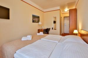 Voodi või voodid majutusasutuse Hotel Tábor toas