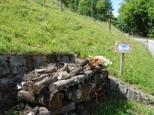 a pile of logs with flowers on a hill at Holiday Home Rustico Fey by Interhome in Malvaglia