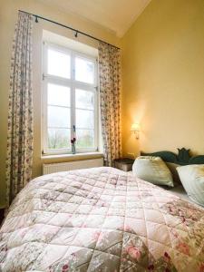 Un dormitorio con una cama grande y una ventana en Landhotel Schloss Daschow en Daschow