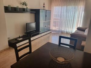 TV a/nebo společenská místnost v ubytování Apartaments Flamingo