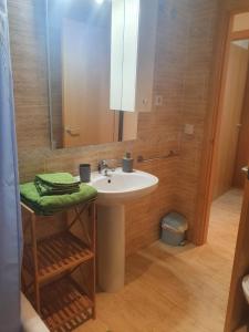 Koupelna v ubytování Apartaments Flamingo