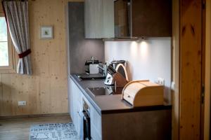 a kitchen with a sink and a counter top at Konradgut 11 - Ruhe und Aussicht auf 1140m in Sankt Lorenzen ob Murau