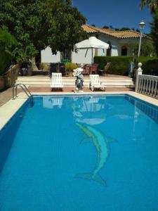 a large swimming pool with a shark in the water at El Parque de Isabel in Prado del Rey